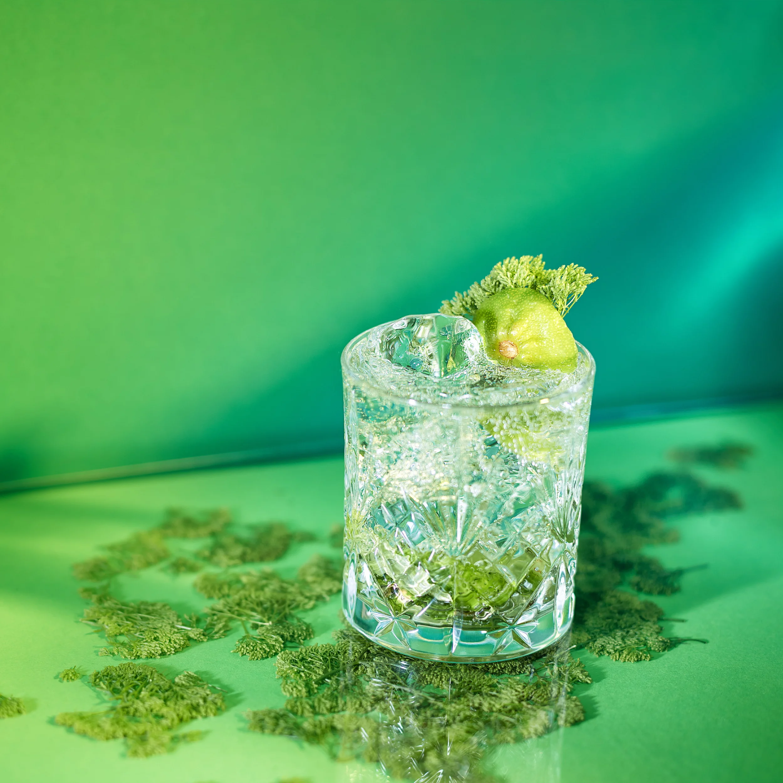 Dranks with Casey28868_1x1_Final.JPG