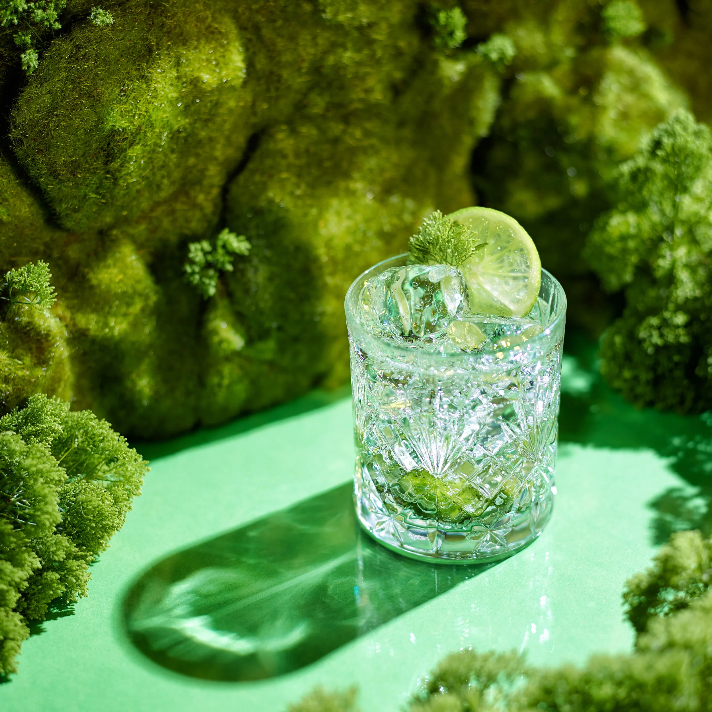 Dranks with Casey28816_1x1_FINAL.JPG