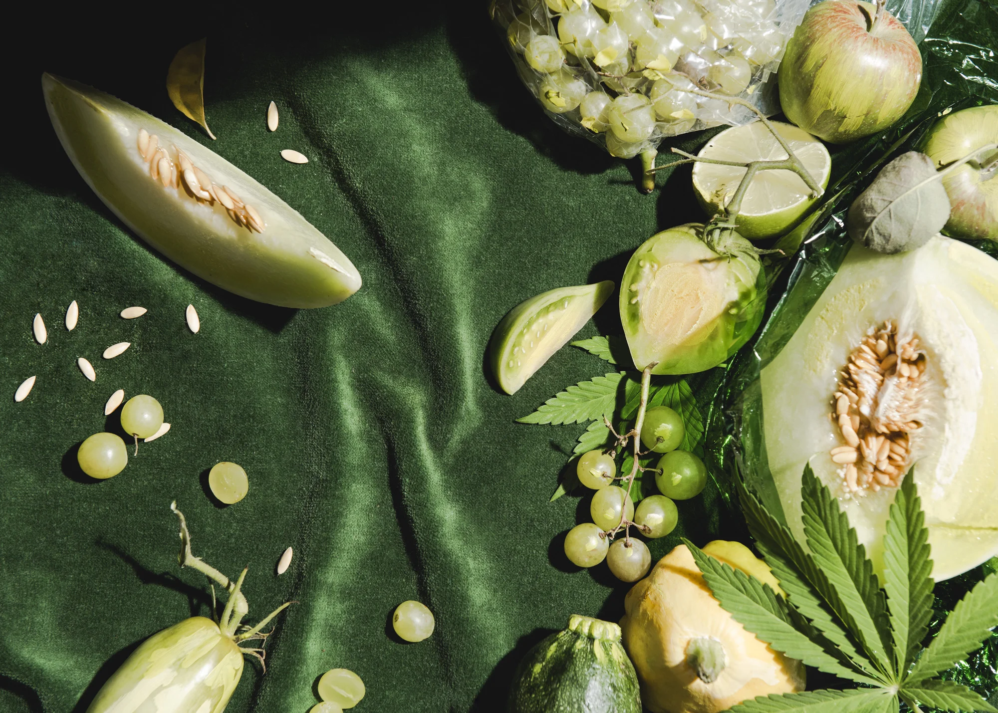Fruit_Test_Aug174635.jpg