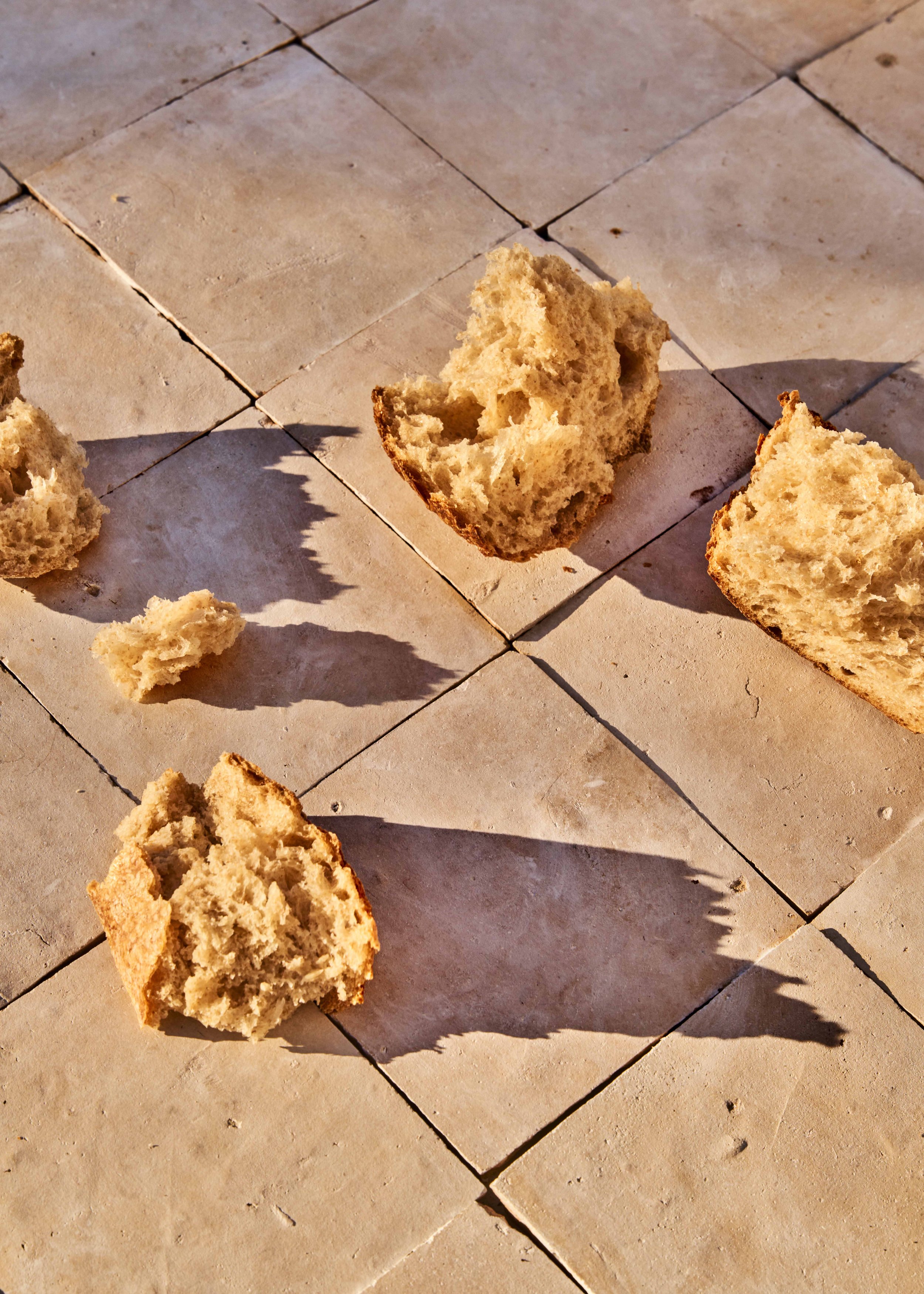 2023_1201_CaseyDobbins_Test 310.jpg