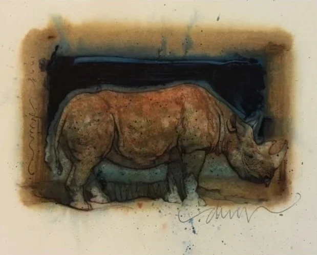 Rhino_baby.jpg