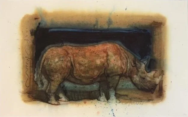 Rhino_big.jpg