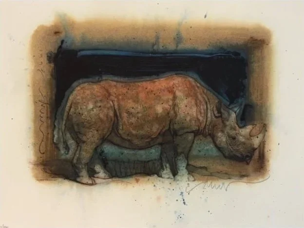 Rhino_teen.jpg