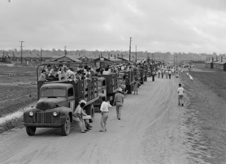 Closing of this Jerome Relocation Center. Many incarcerees from Jerome were moved to Tule Lake Segregation Center and other prisons.