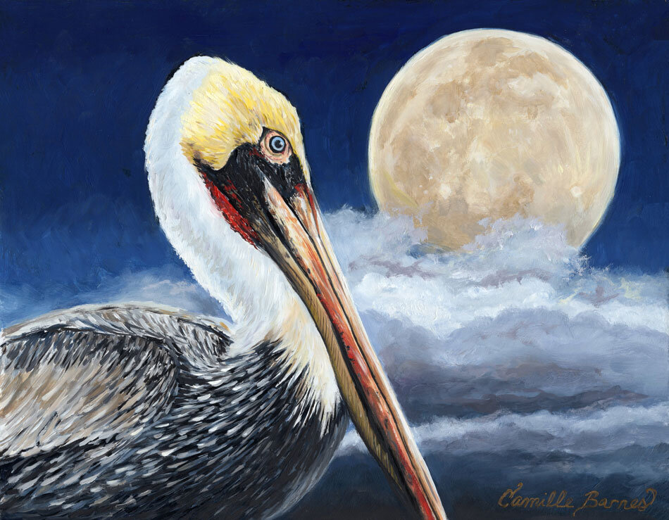Moonlight-Pelican-8x10-Louisiana-art-camille-barnes.jpg