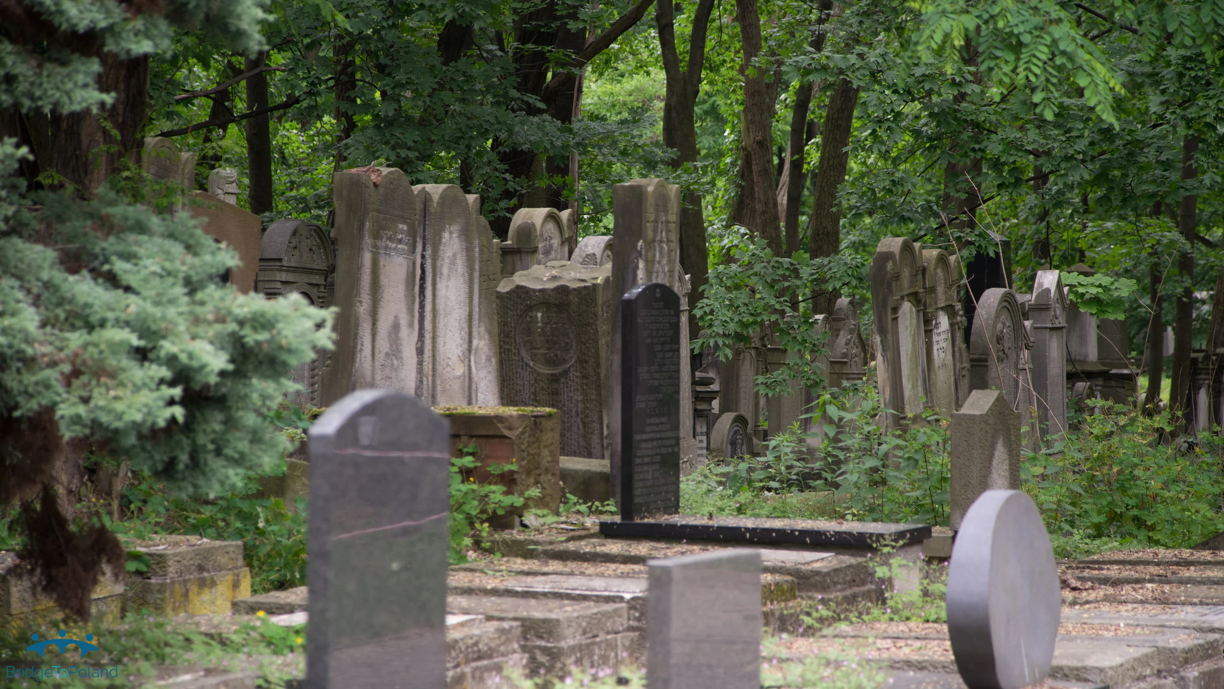 Cemetery 2 Warsaw.jpg