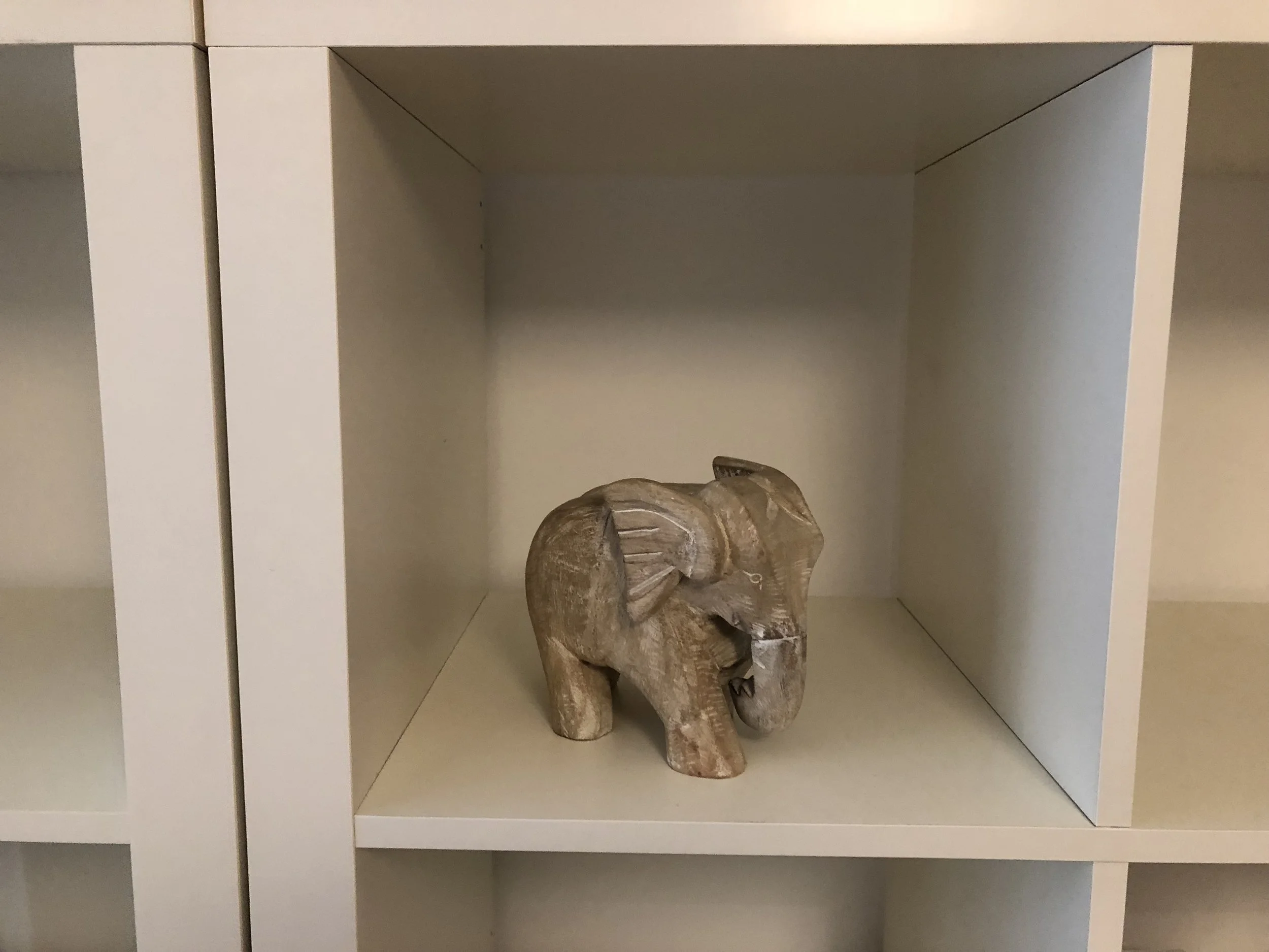 This guy was waiting for me in my new digs. A good omen, I believe.