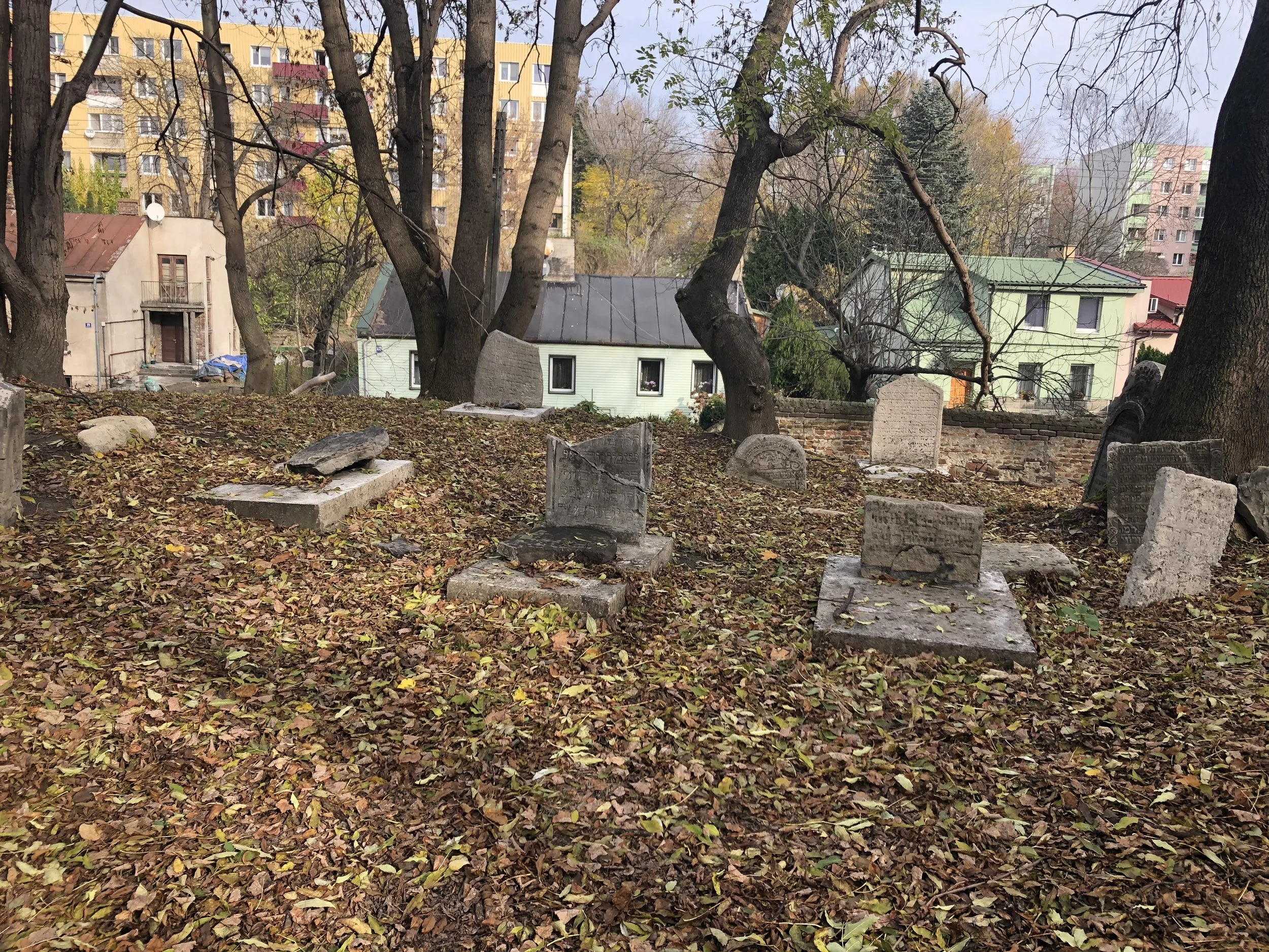 The Old Jewish Cemetery, Lublin, 2018.
