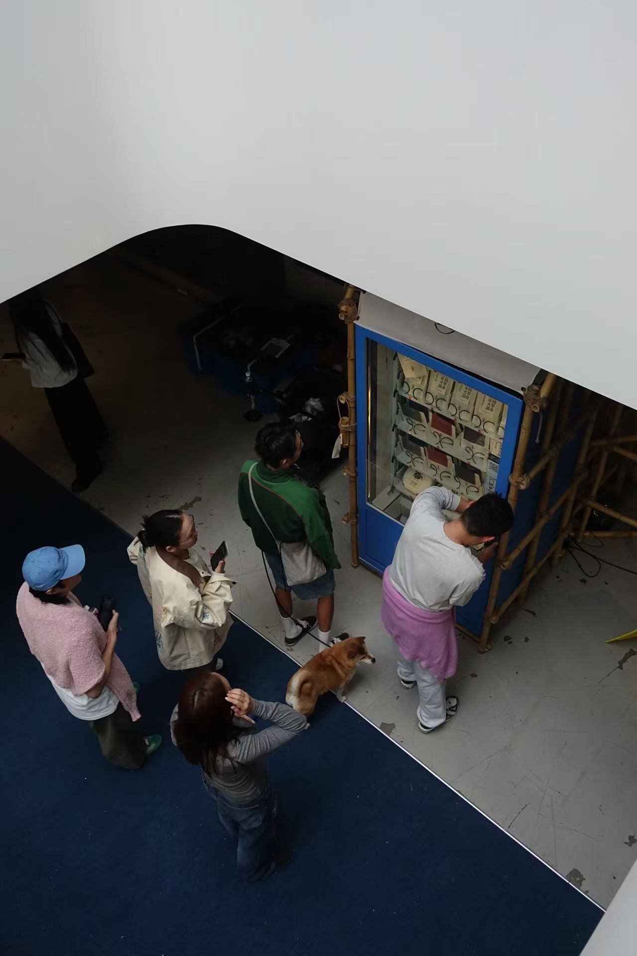 People standing in line at a vending machine, with some using phones, and a dog on a leash nearby inside a building with white walls and blue carpet.