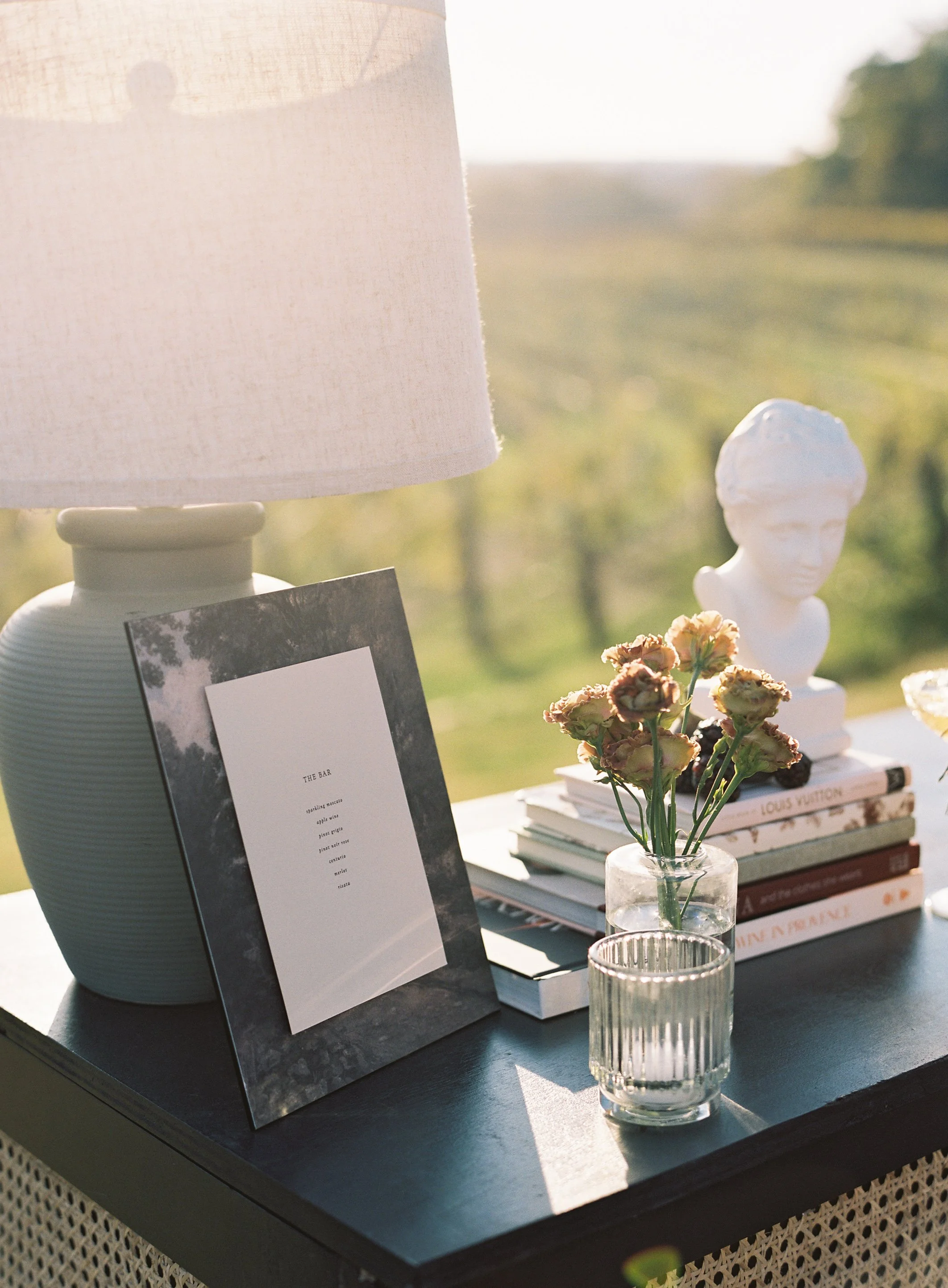 Dawn and York _ Montaluce78.jpg