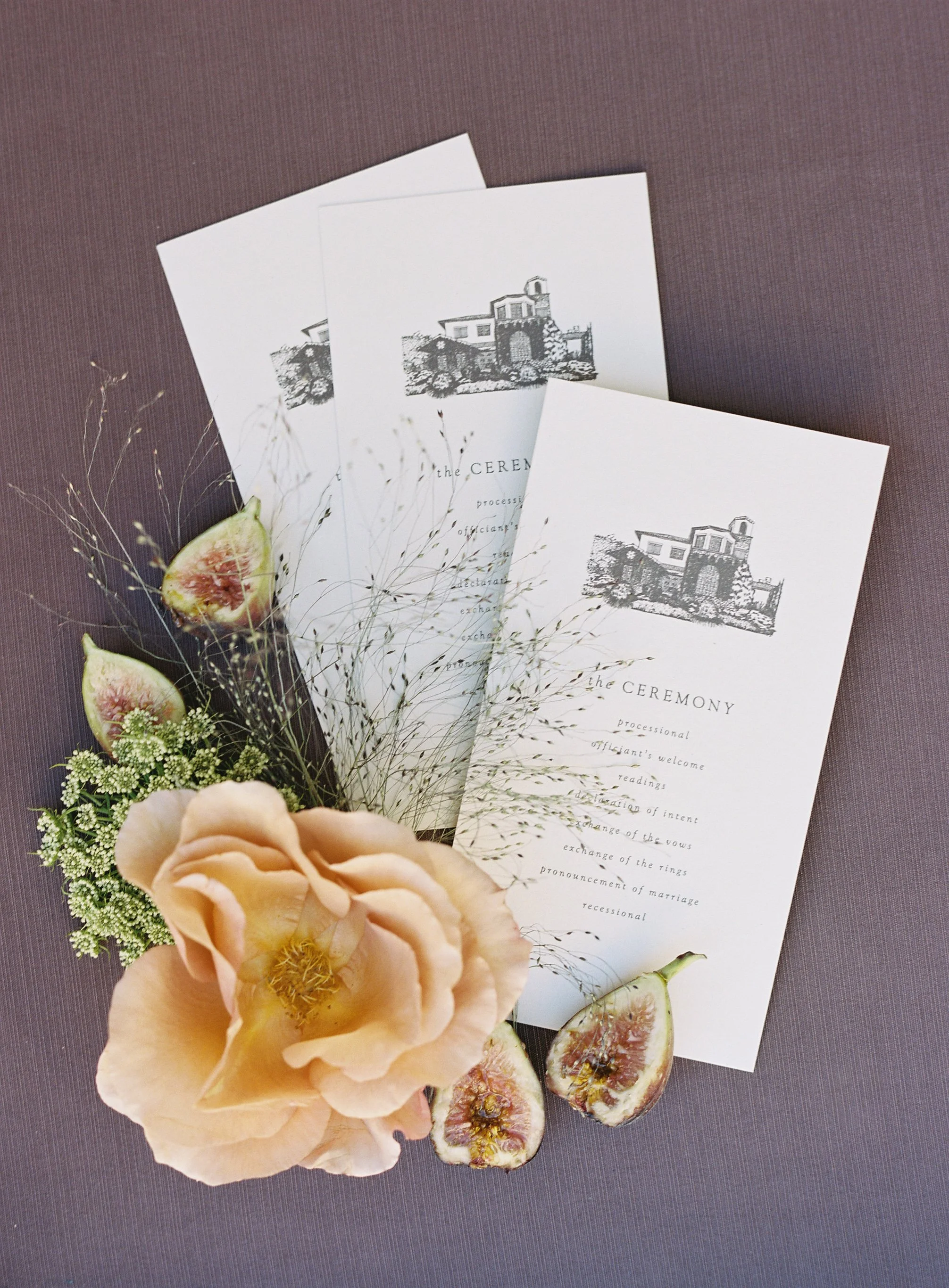 Dawn and York _ Montaluce7.jpg