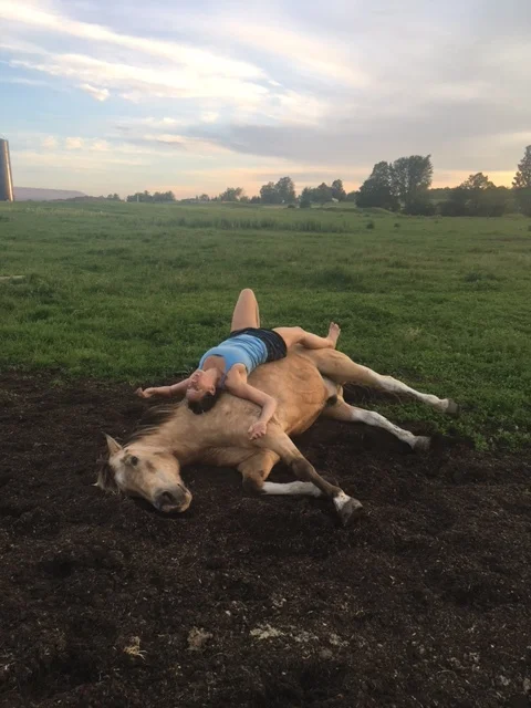 Comanche Comanche is in his teens. He doesn't like to be brushed or doted over. He loves adventure. He used to be anxious and now he's calm. He loves mint, fennel, turmeric. When you meet Comanche he will demonstrate a lot of horse communication that we can read. He also loves a good joke.