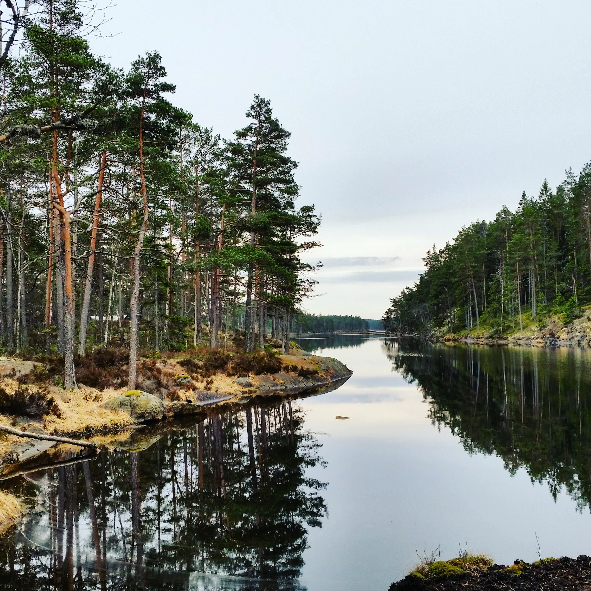 Tresticklan National Park, Sweden