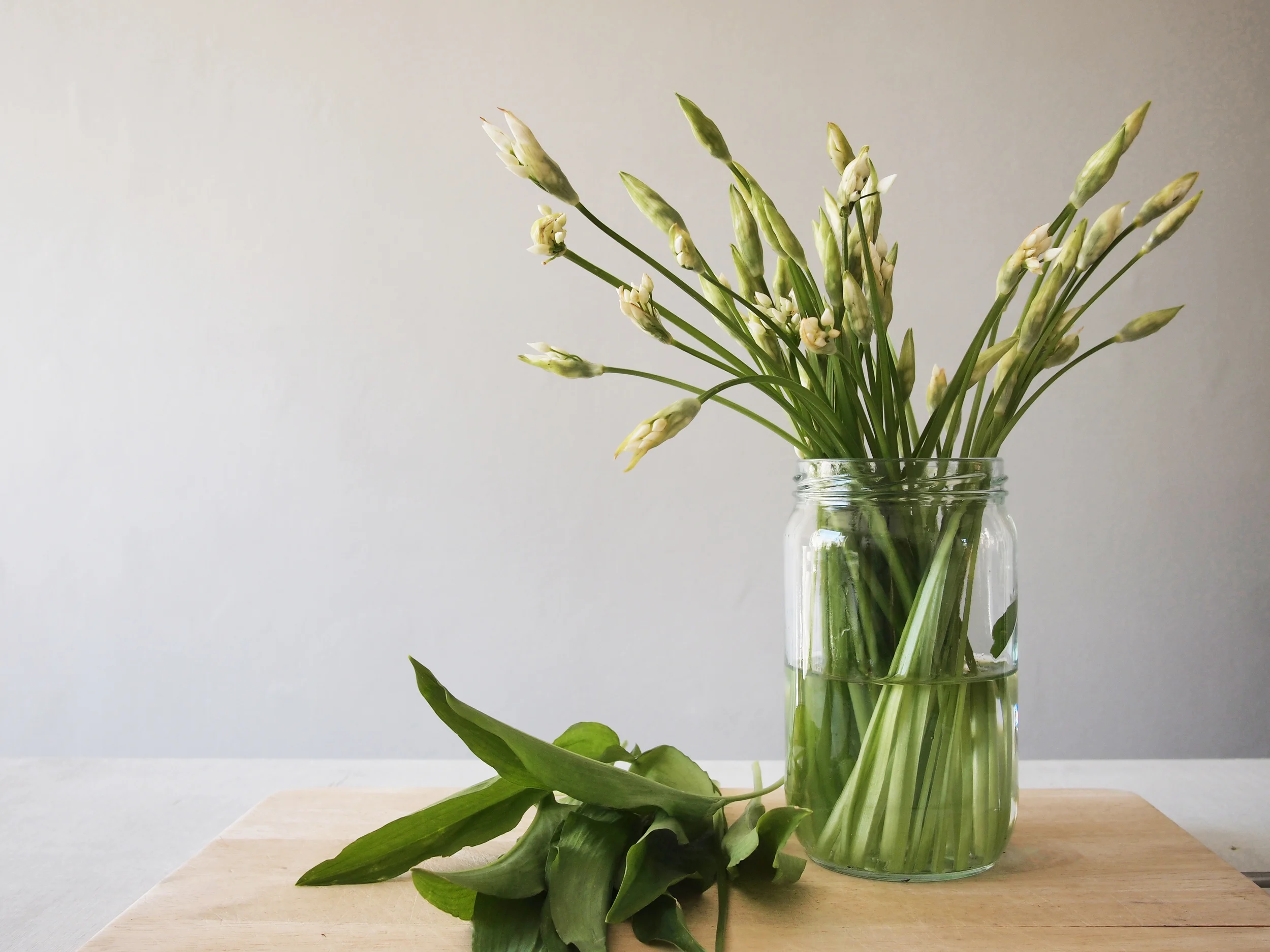 Garden flowers