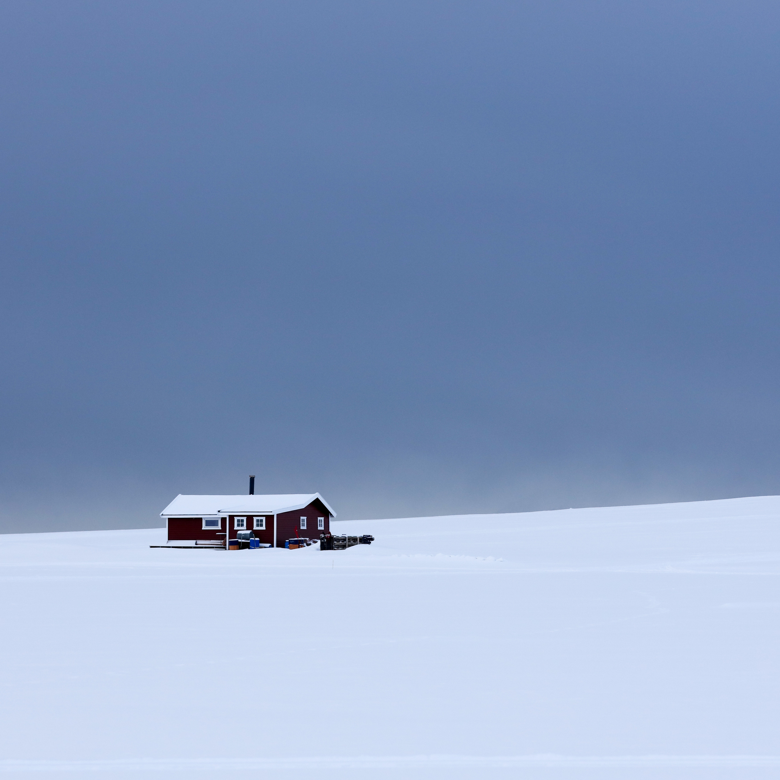 Just like a fairytale, small cottage almost covered in a white carpet