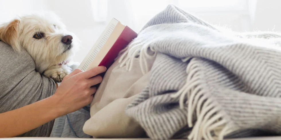 Hygge often reflects the simple things in life - like snuggling up with a good book and a loyal friend and escaping from the more stressful aspects of modern life. Image source