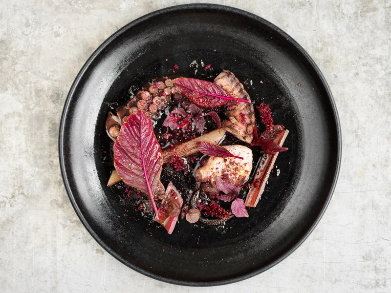 Grilled octopus