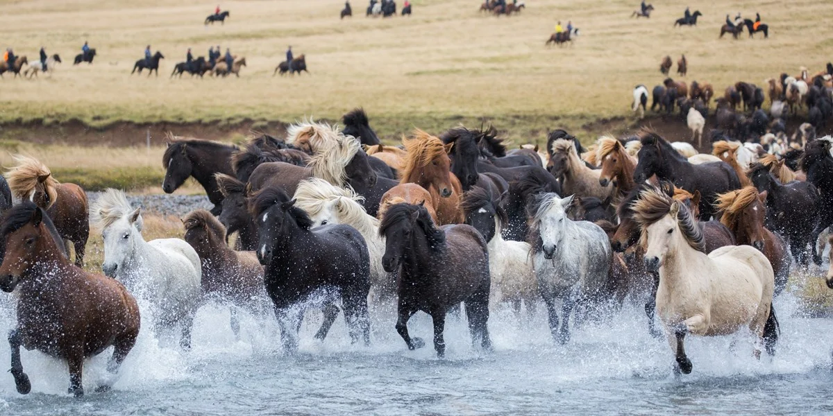 Photo courtesy of visiticeland.com