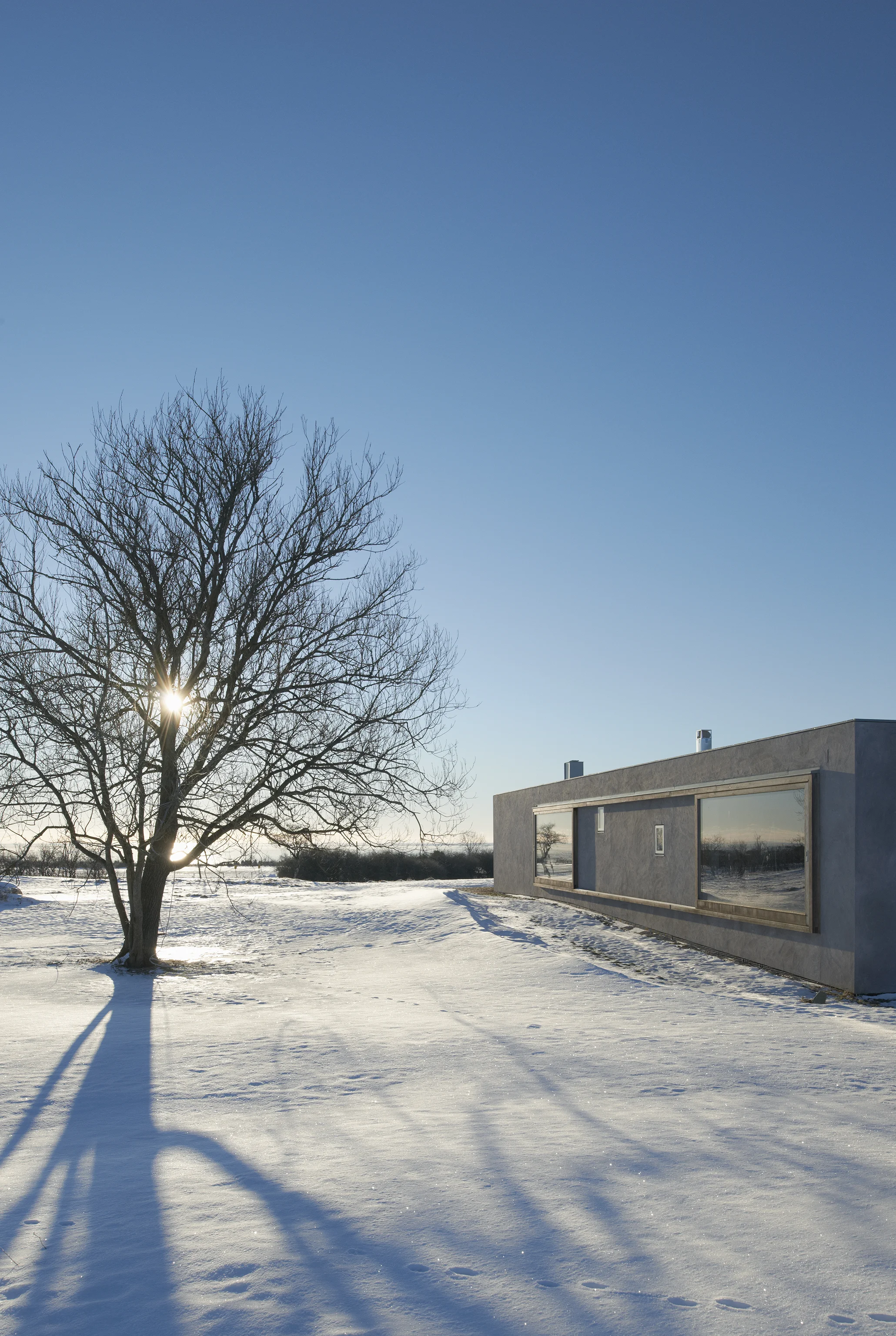 Atrium house_8365 016.jpg