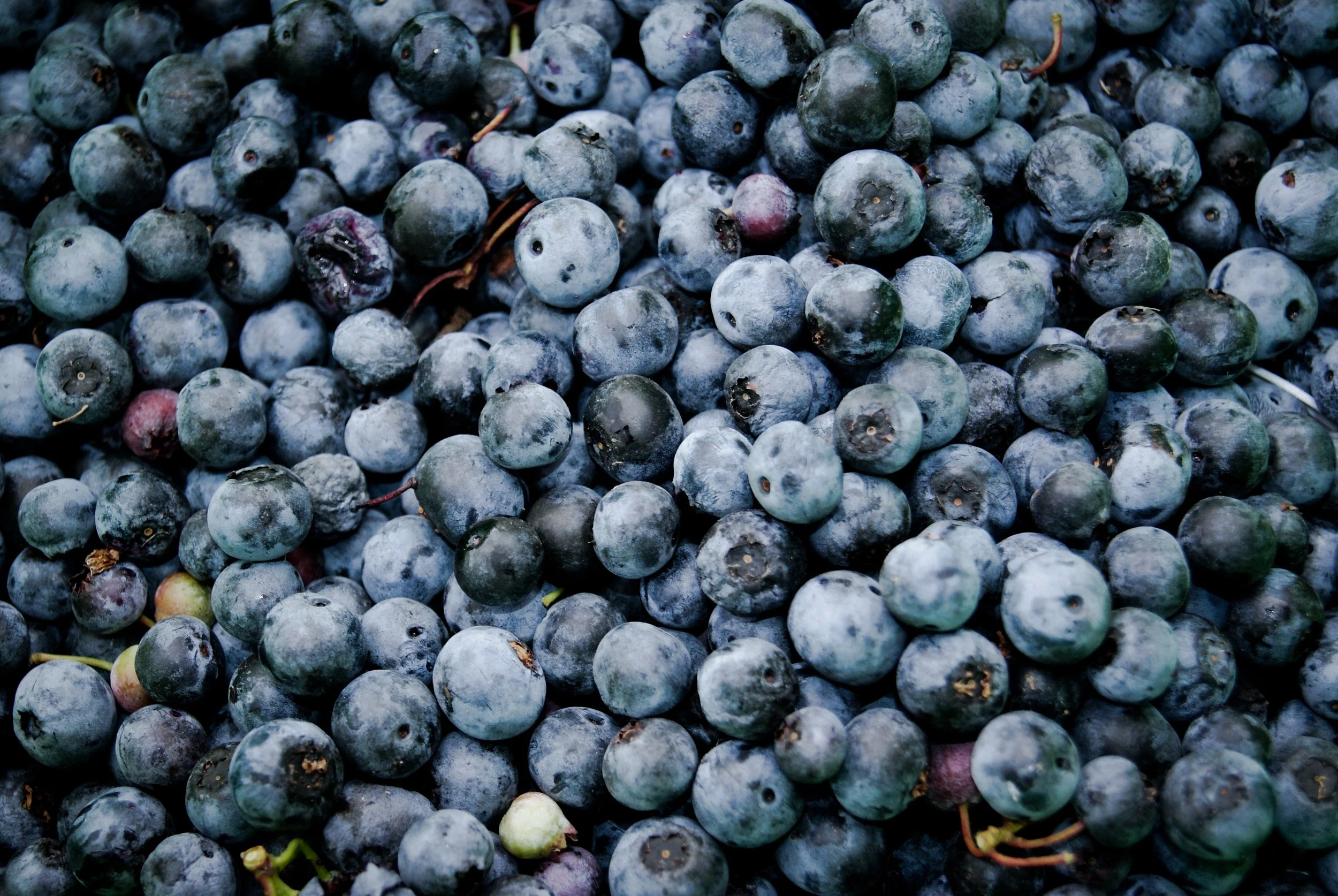 syd-wachs-128767-unsplash.jpg