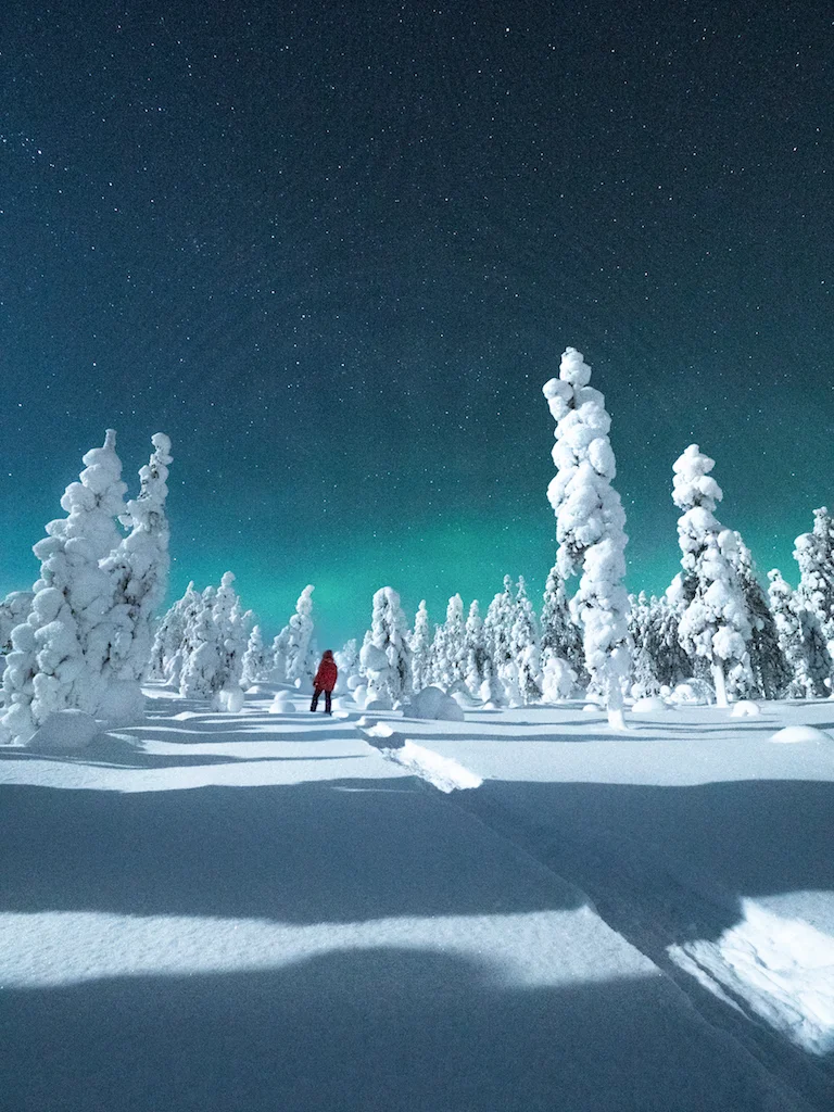 2. Aurora Borealis + Sanni.jpg