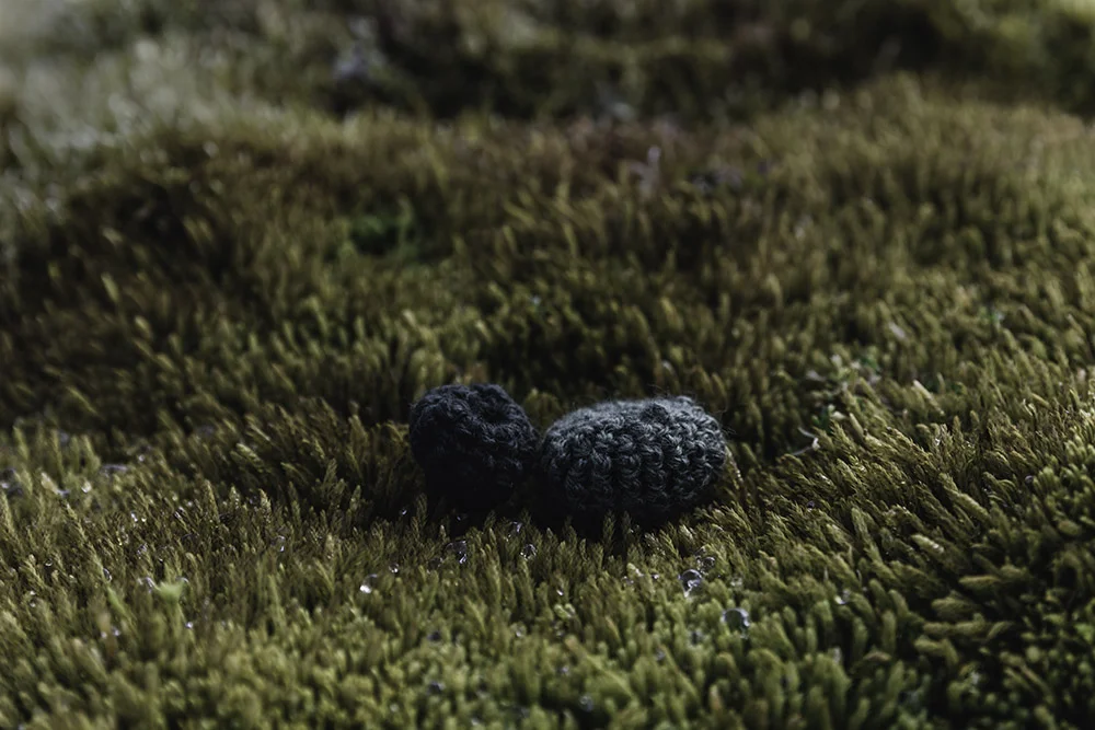 “My knitted 'moss/vegetation shapes incorporated into the real mossy landscape!”