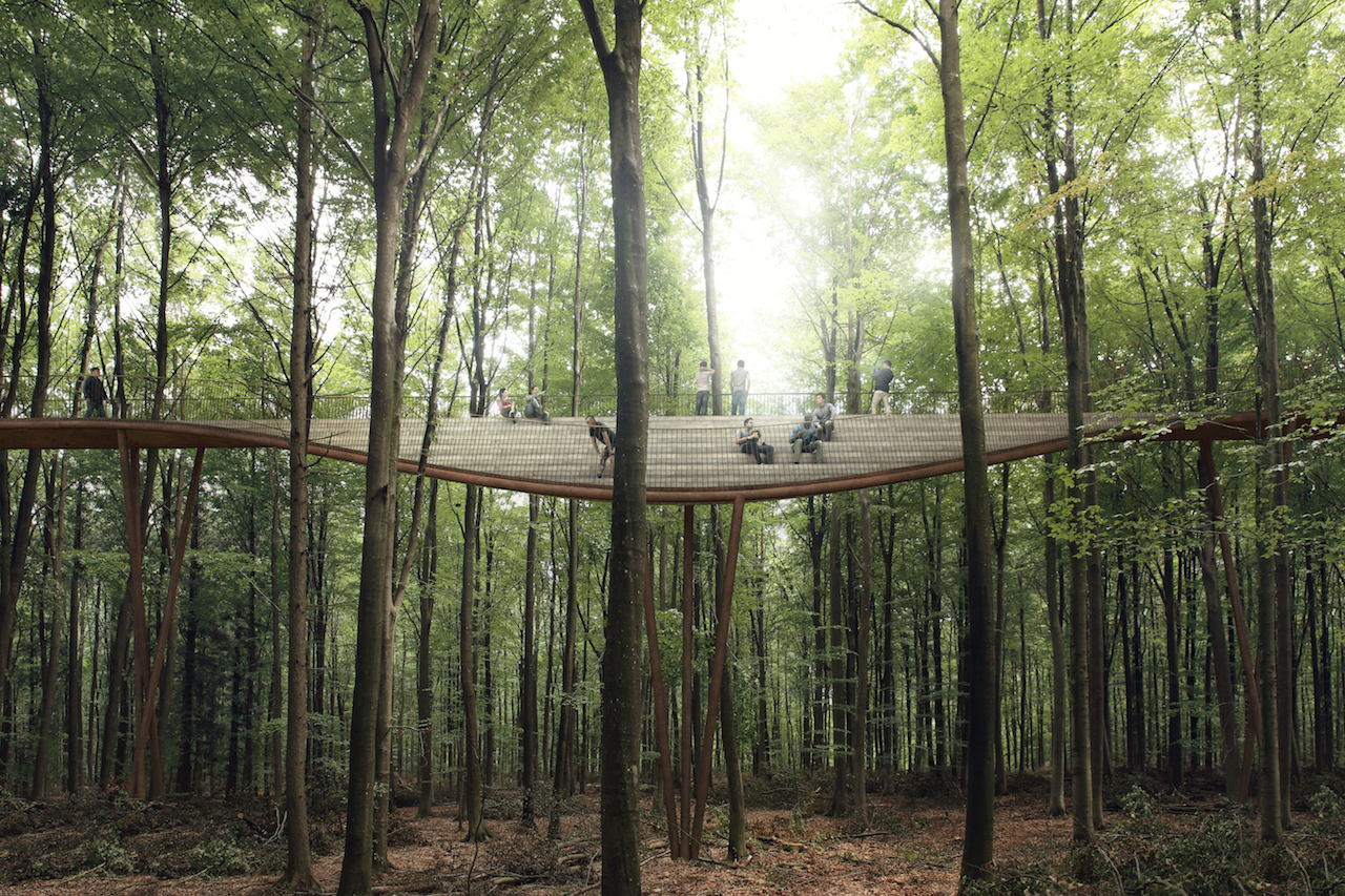 CampAdventure_TheTreetopExperience_03_∏_EFFEKT.png