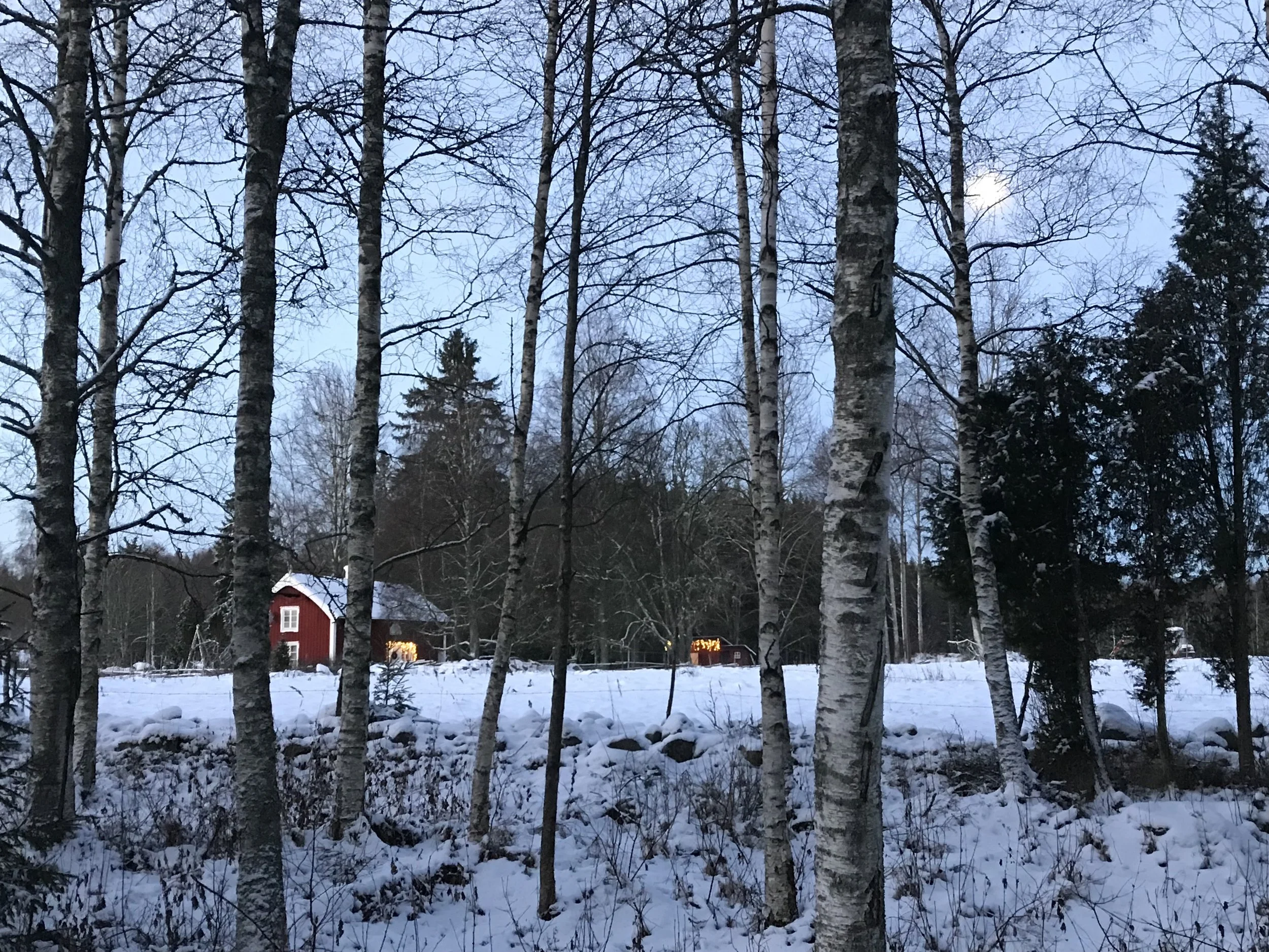 Hej Living - Nordique - torp winter.jpg