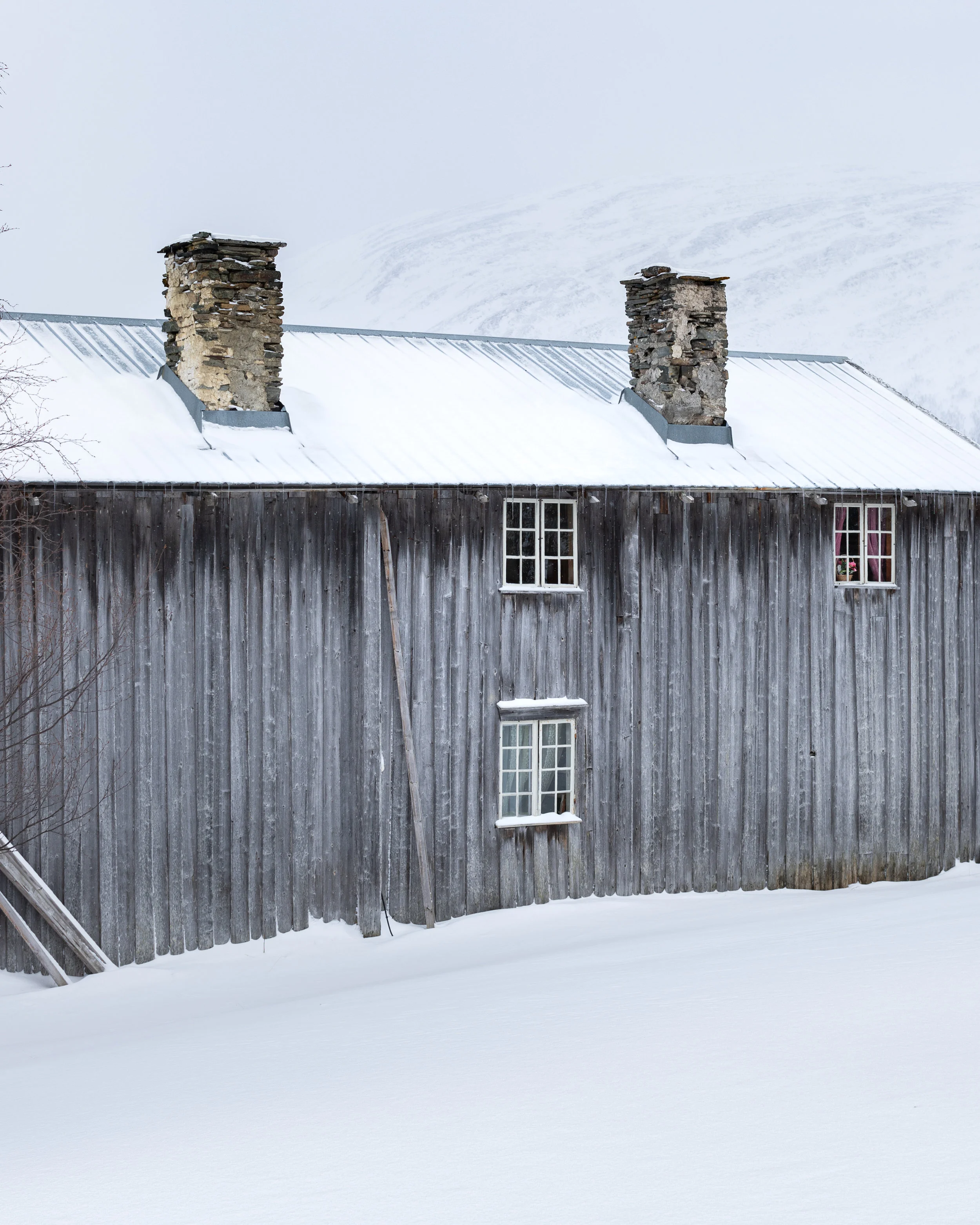 Frosty in Jämtland#2.jpg