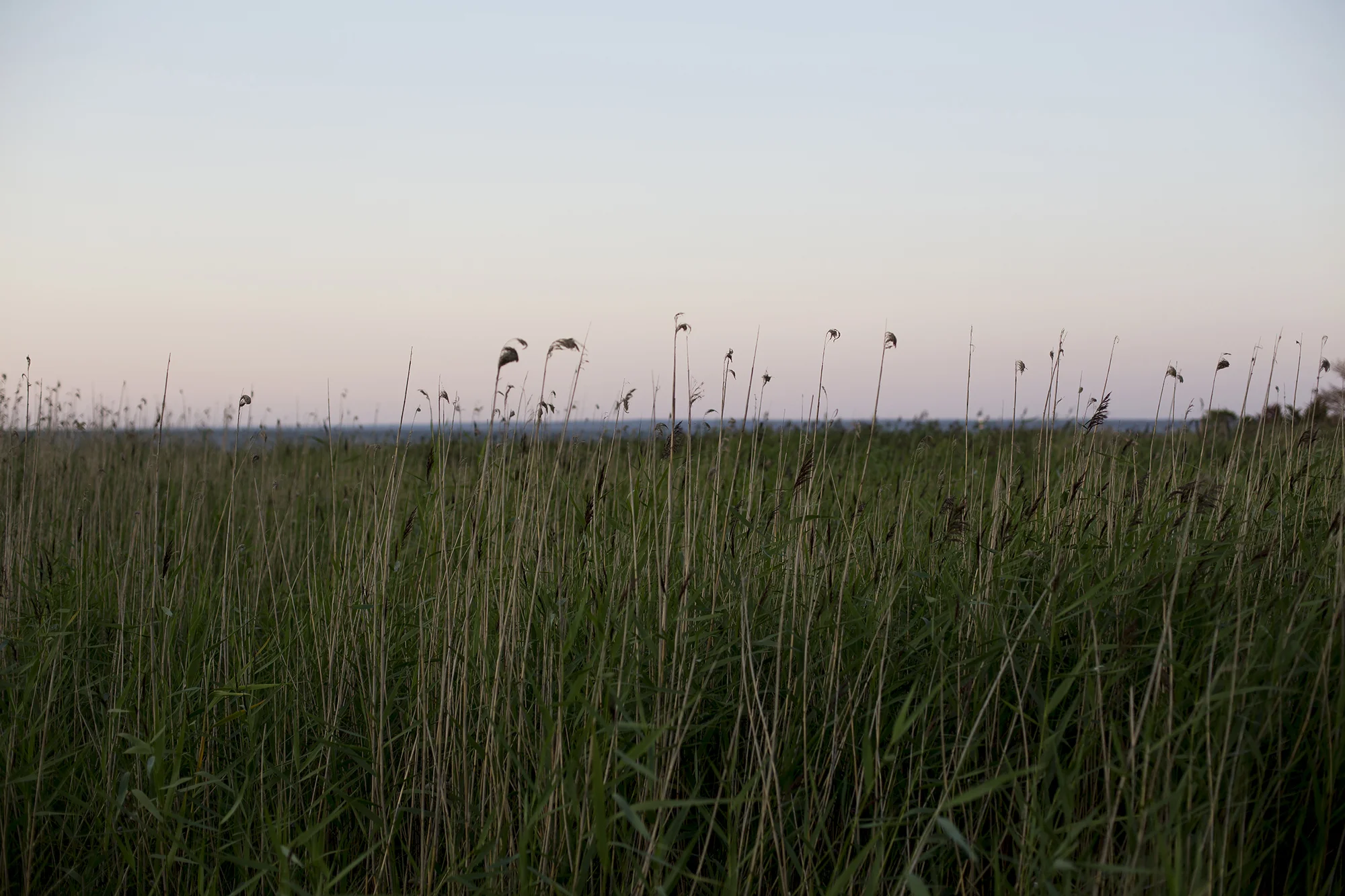 A summers evening when the sun has just set…