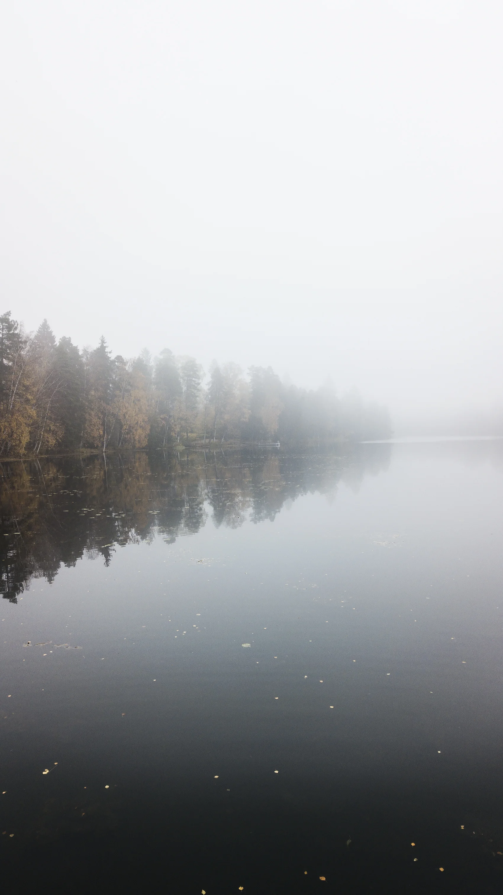 A misty autumn day, across a perfectly still and deserted Finnish lake - so atmospheric