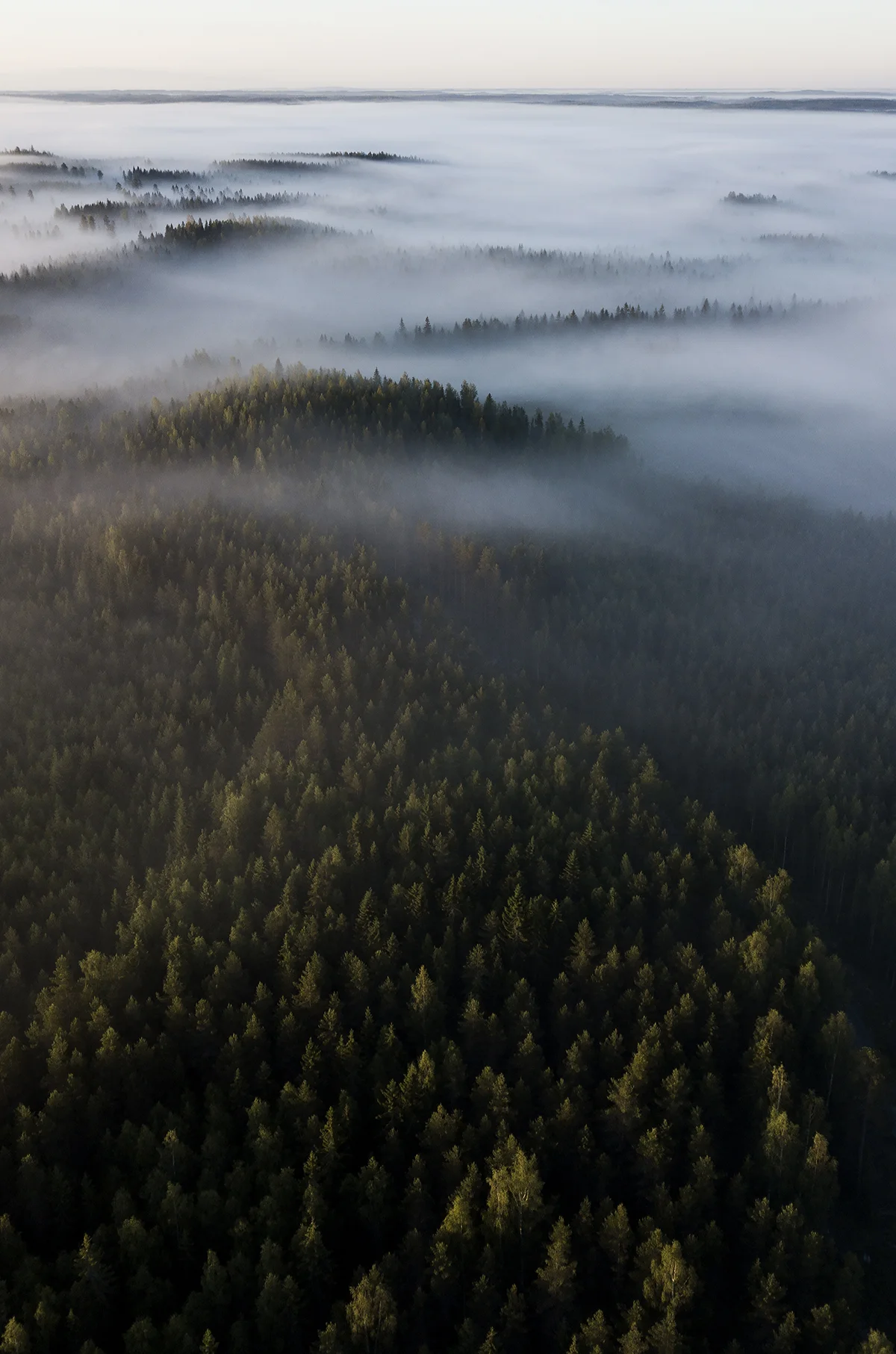 Evo_drone1_pieni.jpg