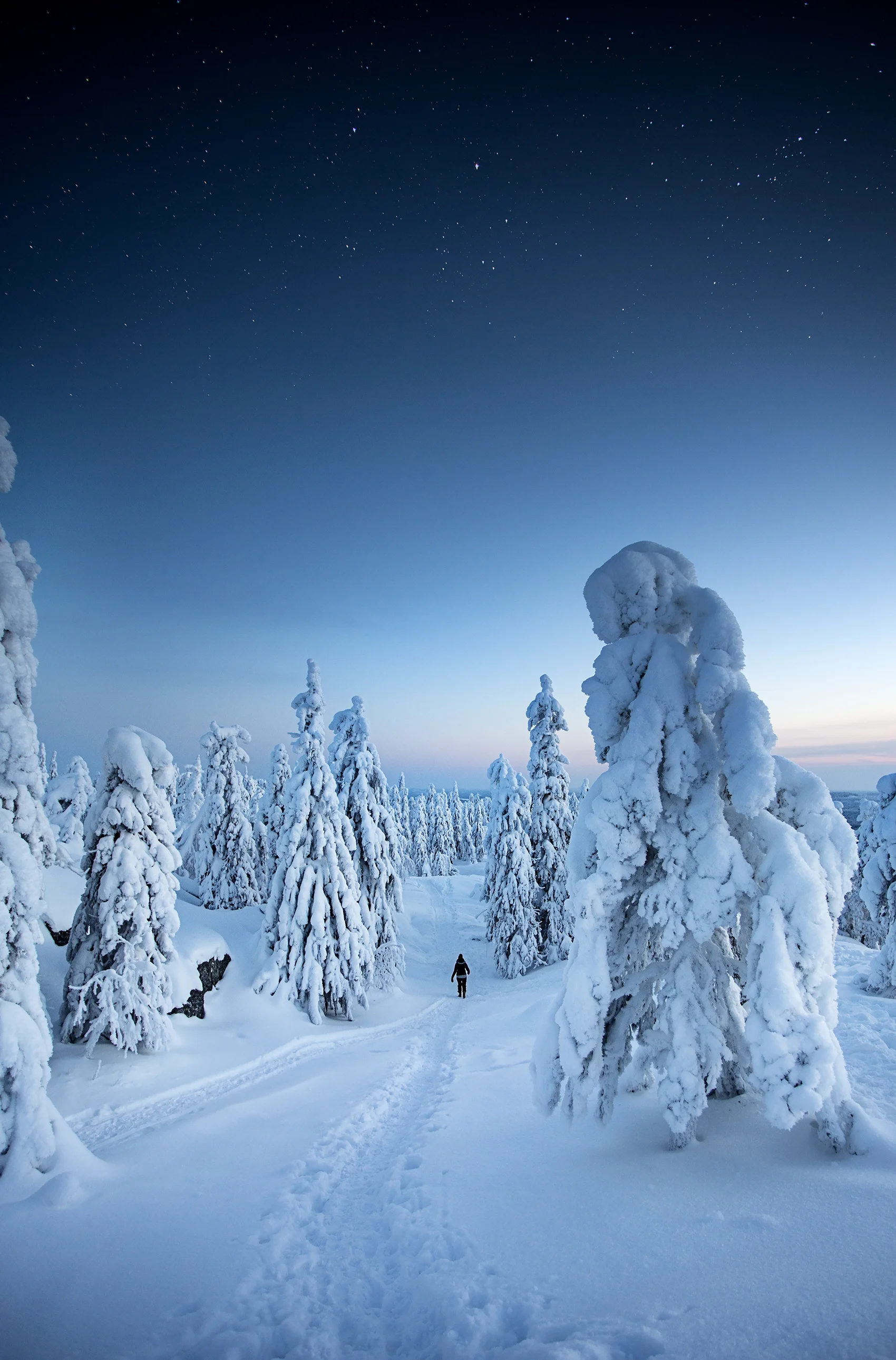 Koli_1.jpg