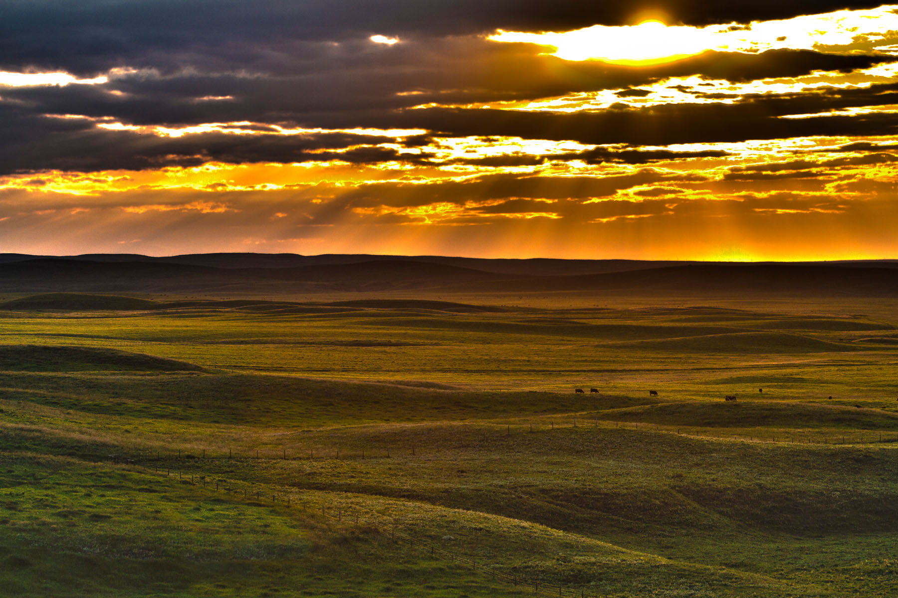MRanch_24x36.jpg