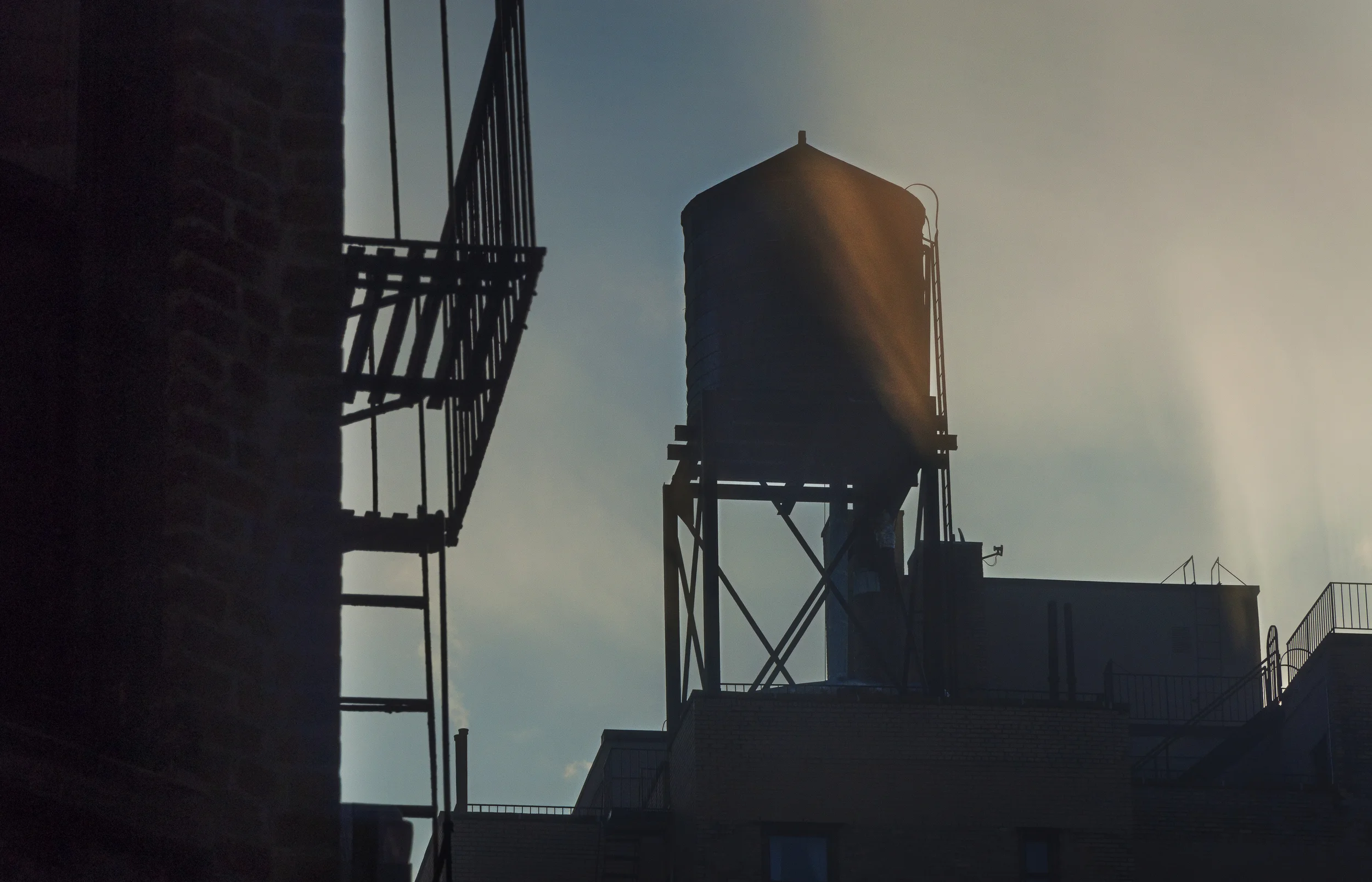 _DSC0593-Foggy Morning-1.jpg