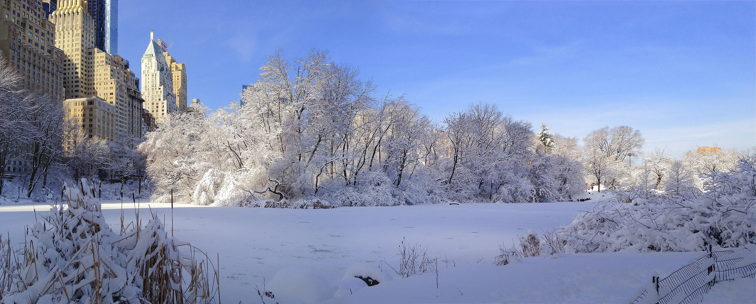 IMG_4841-43_Snowy Turtle Pond.jpg