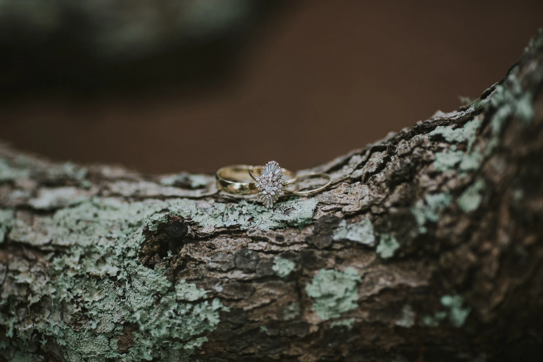 lovestoriesbyhalieandalec-morgan-and-cody-married-8.jpg