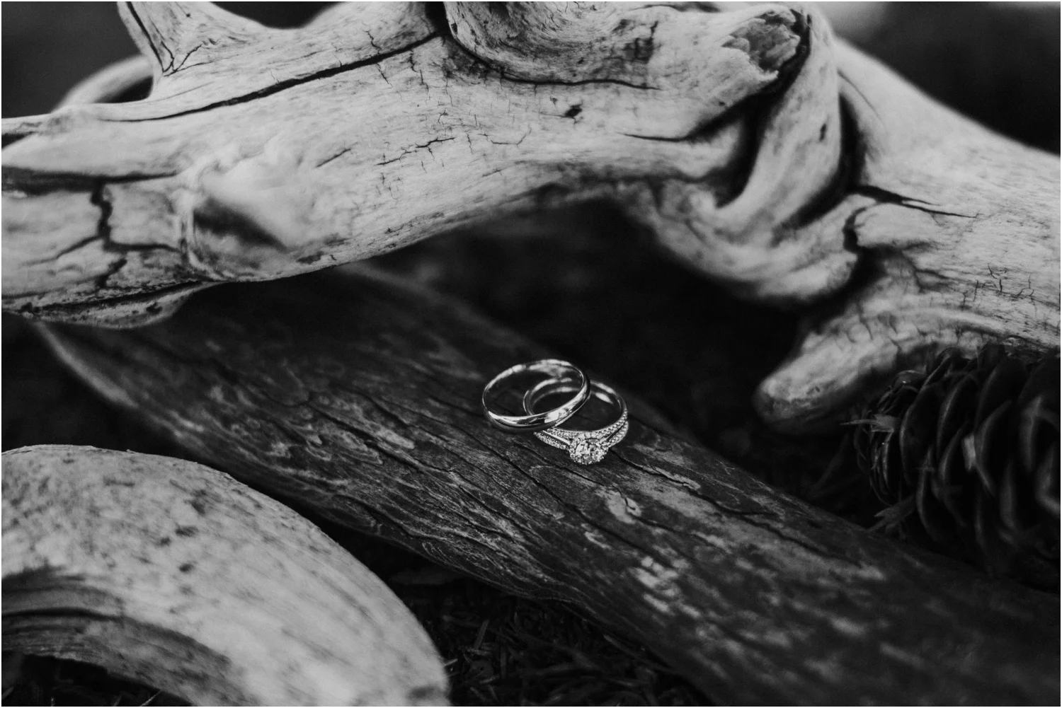 lovestoriesco-amber-phinisee-seattle-mount-rainier-elopement_0005.jpg
