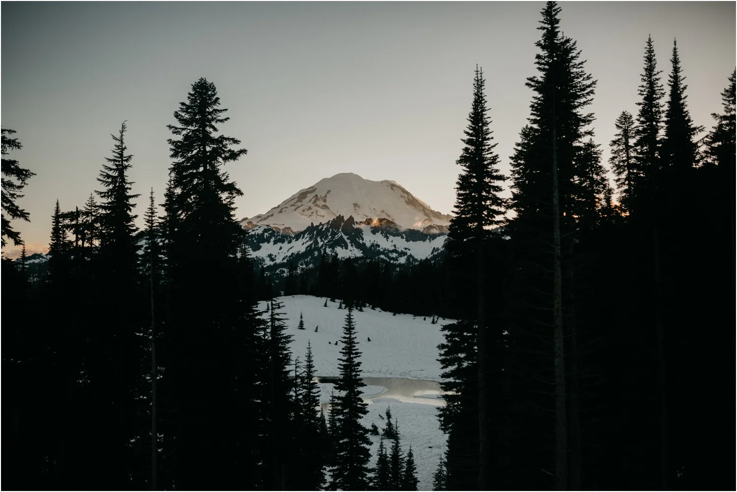 lovestoriesco-amber-phinisee-seattle-mount-rainier-elopement_0089.jpg