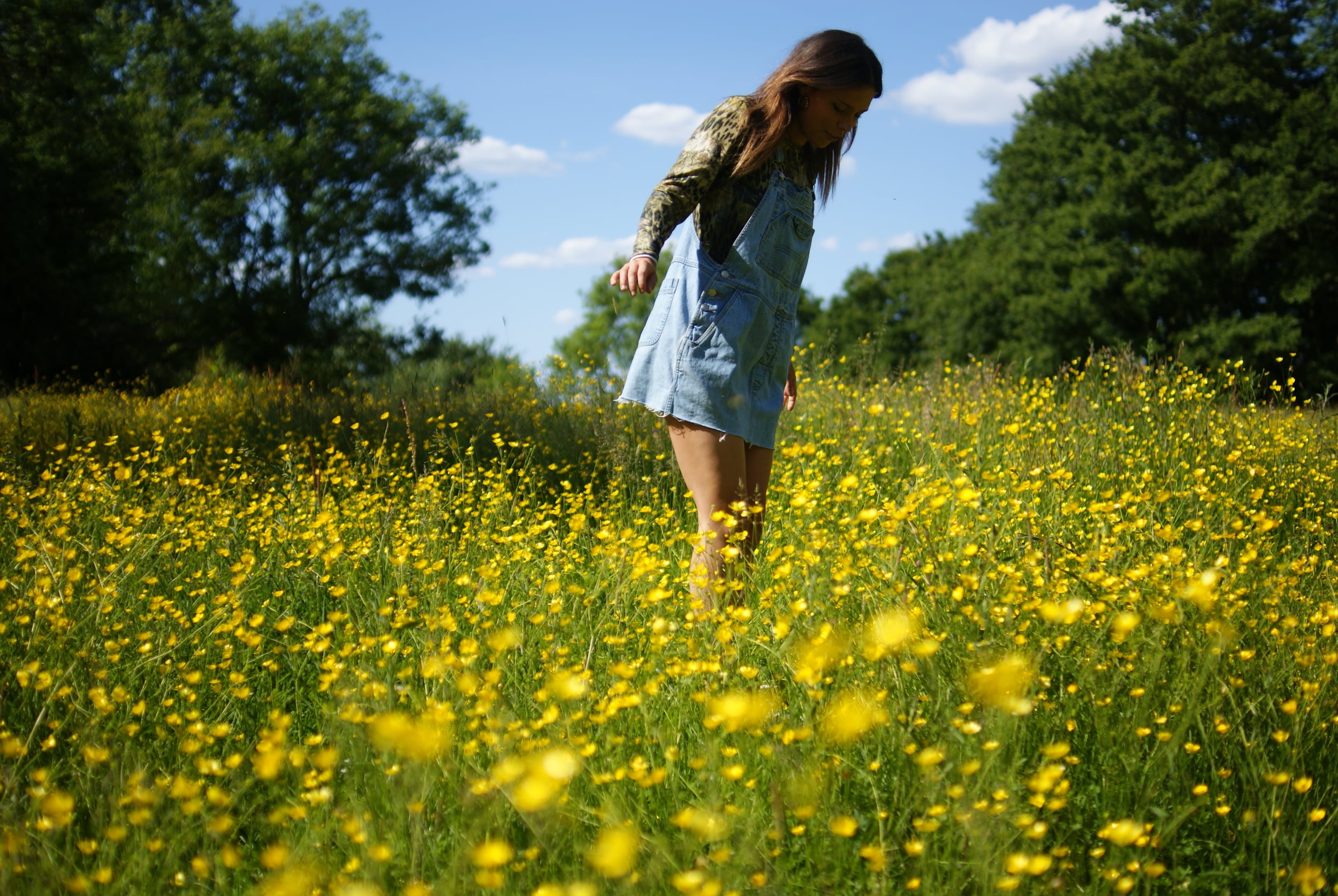 Fields of Gold & Emerald Envy