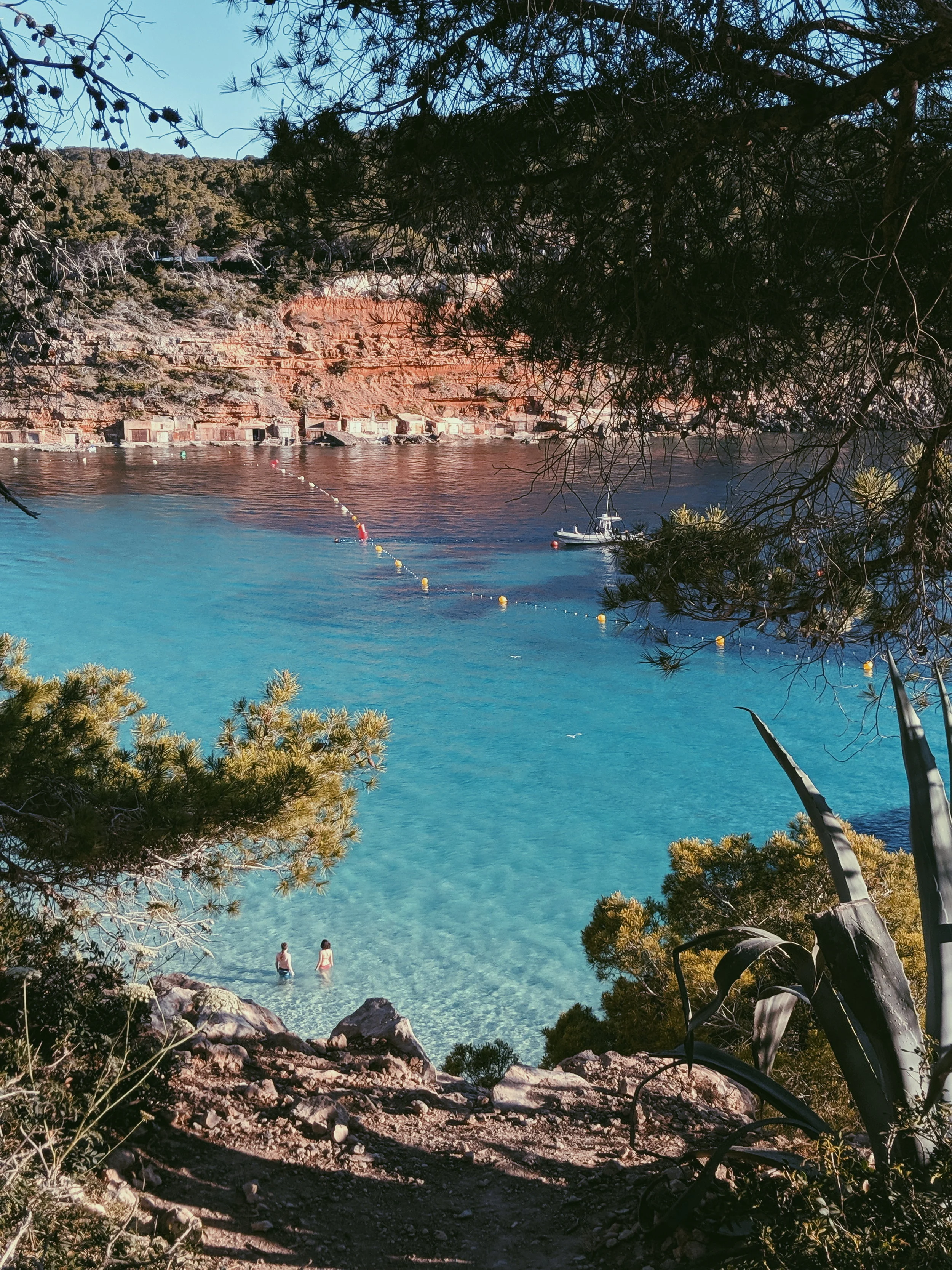 2019-06-05 08.52.03 1.jpg