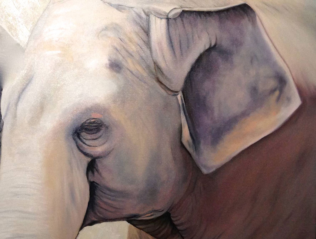 PC-elephant-for-web.jpg