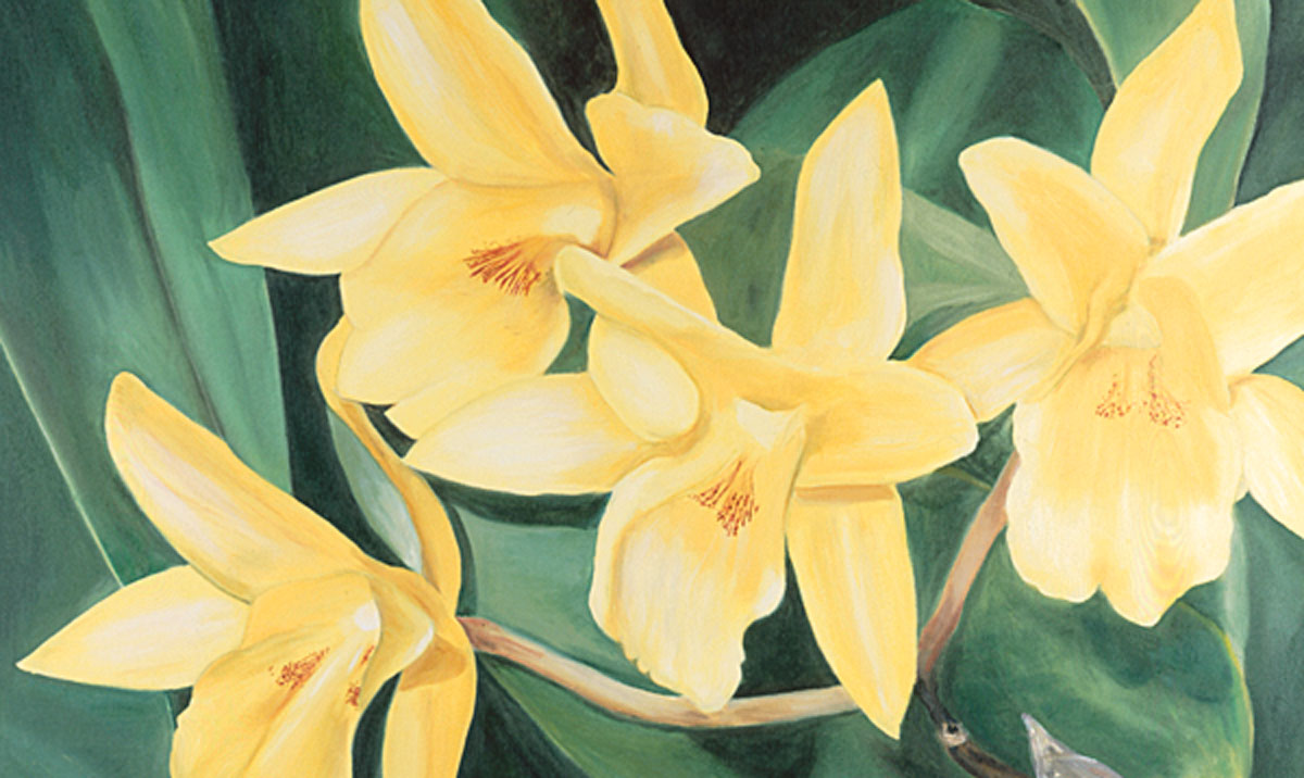 PC-flower-for-web-2.jpg