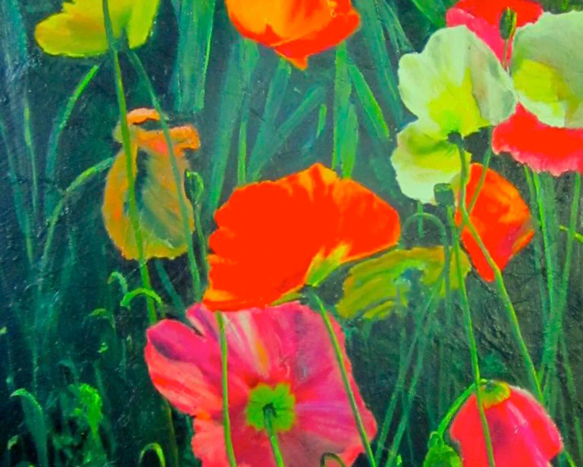 PC-poppies-for-web.jpg