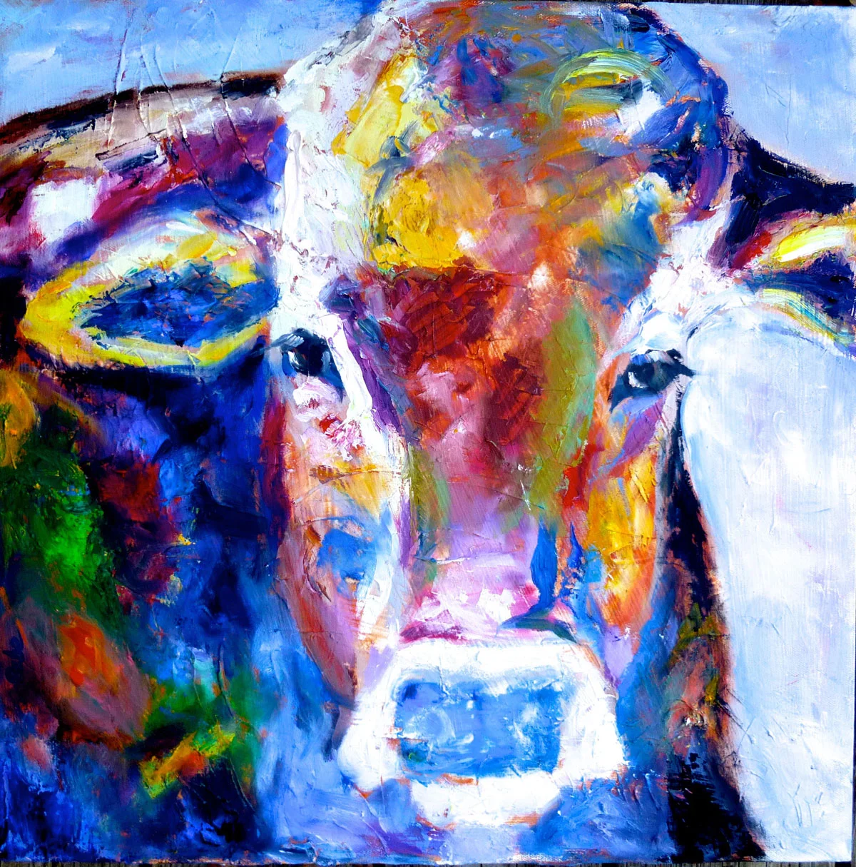 PC-cow-for-web.jpg