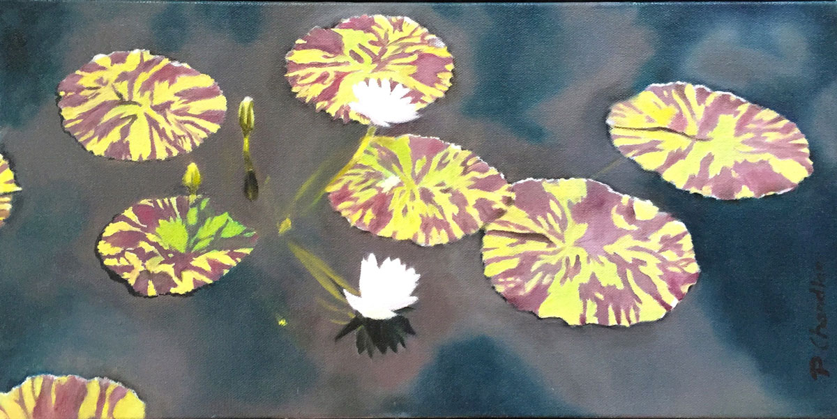 PC-lily-pads-for-web.jpg