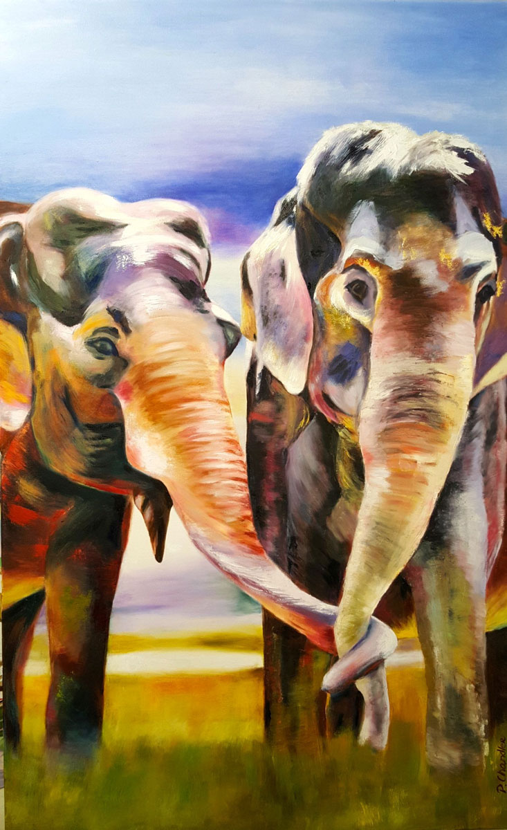 PC-elephants-for-web.jpg