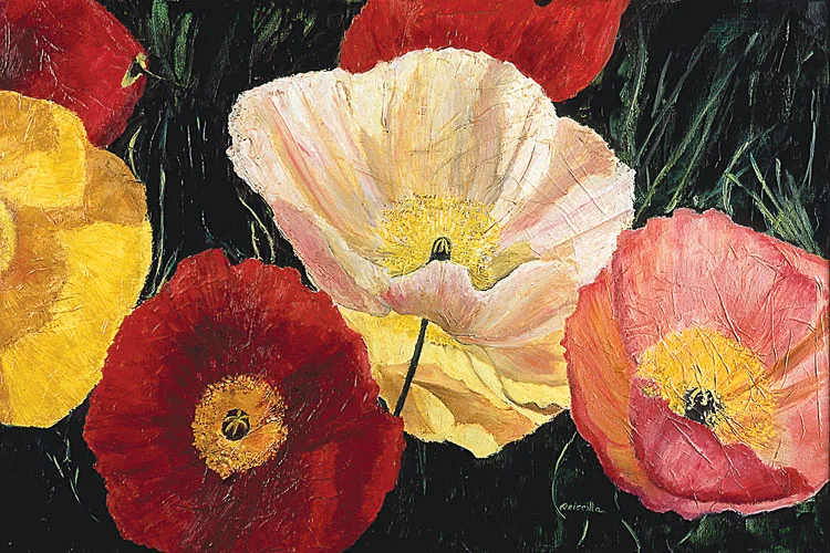 POPPIES2.jpg