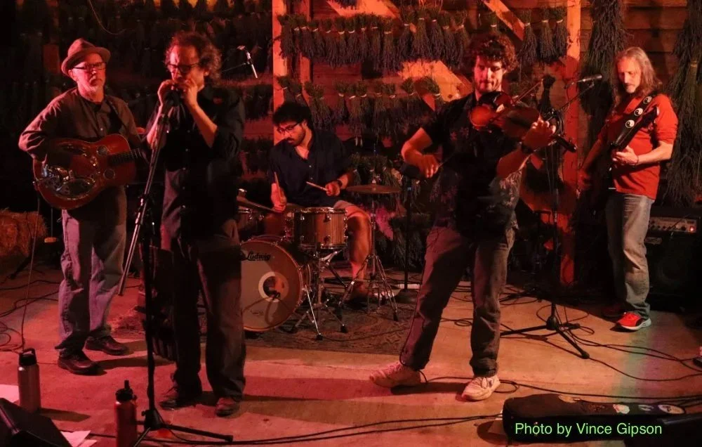 Backwoods Hucksters at Private Event