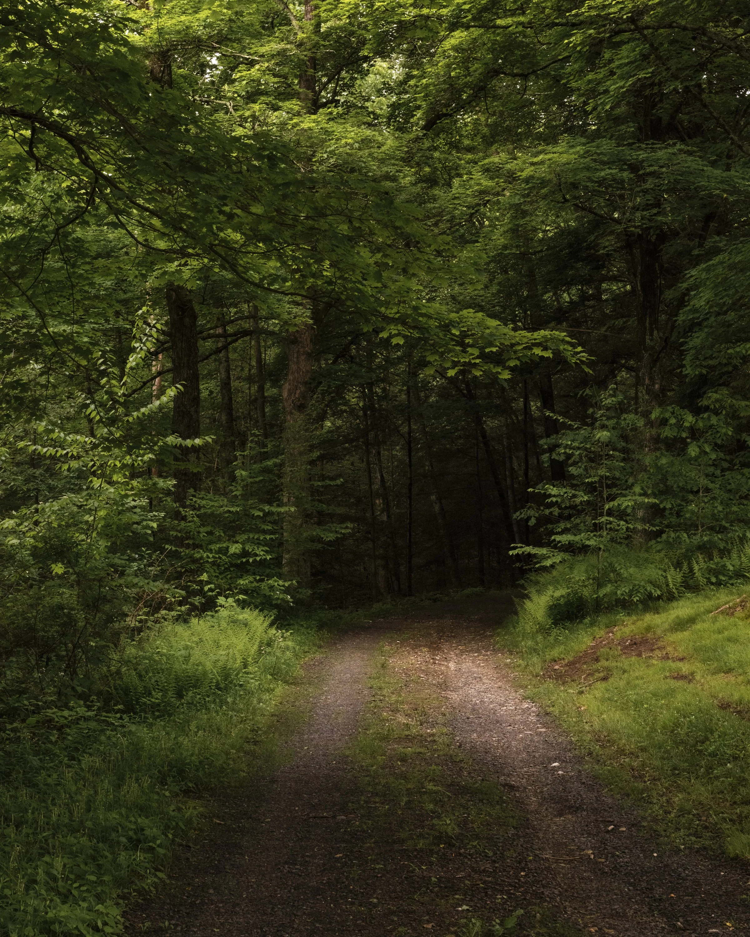 James Coviello - Camp 1937 - Preview-1 2.JPG